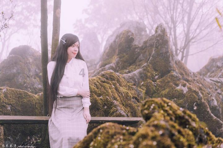 沪江开心词场