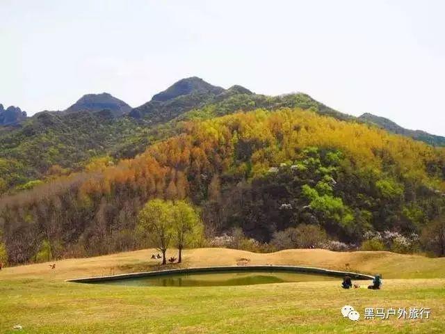 LG新能源:今年全球新能源汽车增速将放缓