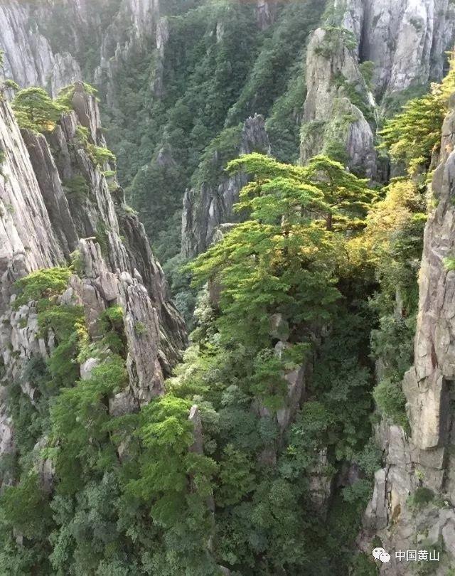 贪玩蓝月