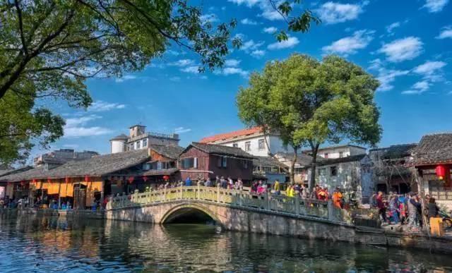 贝乐虎海洋知识探索：鱼为什么能在水里呼吸？它有独特的呼吸器官游戏画面